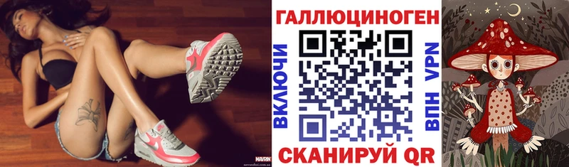 блэк спрут ССЫЛКА  Сосновый Бор  Галлюциногенные грибы Cubensis 