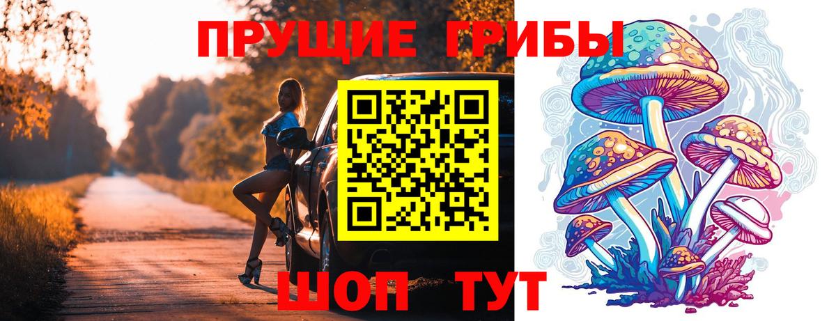 Галлюциногенные грибы MAGIC MUSHROOMS  Вход с VPN  Сосновый Бор 