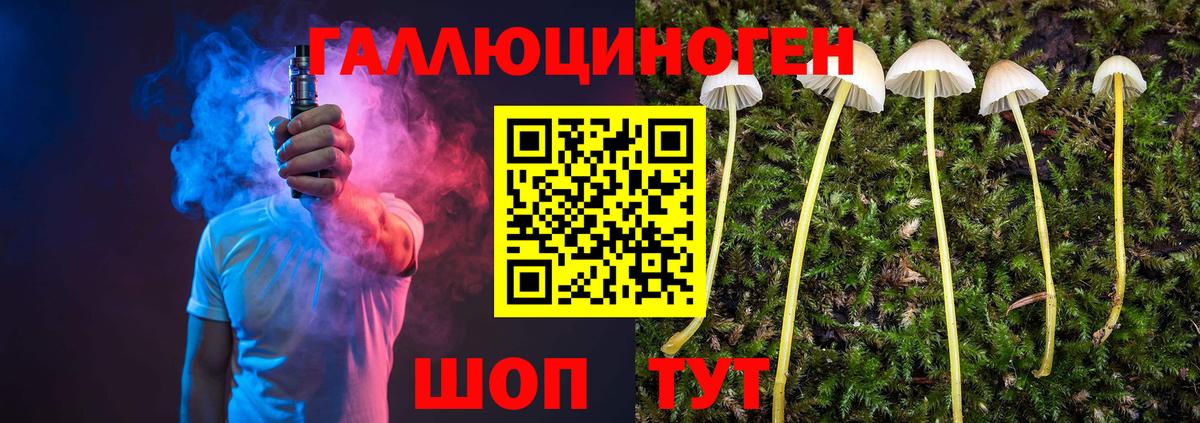 Псилоцибиновые грибы прущие грибы Сосновый Бор