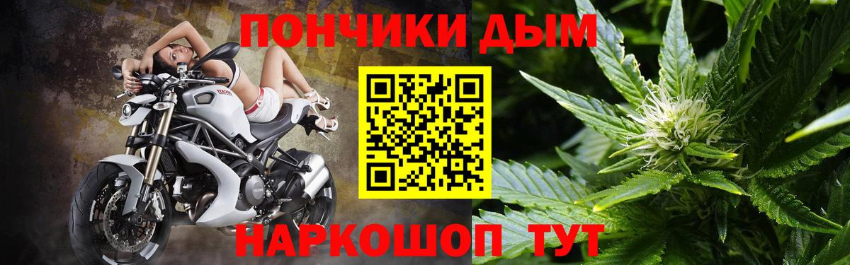 Бошки марихуана индика Сосновый Бор