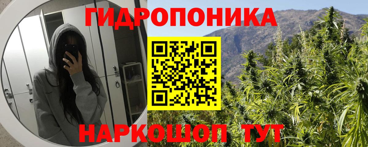 Сосновый Бор  Бошки марихуана VHQ  Бошки марихуана индика  Конопля план  Вход с VPN 